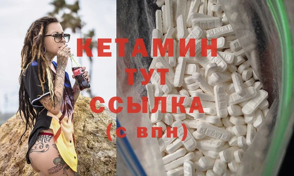 индика Богданович