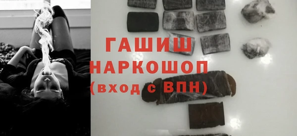 индика Богданович