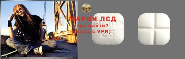 индика Богданович