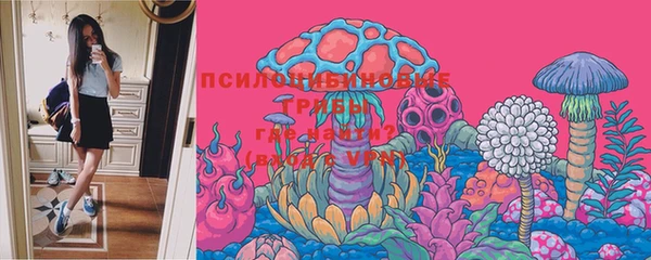 амф Бугульма