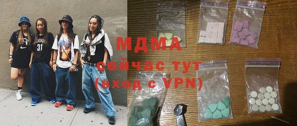 индика Богданович