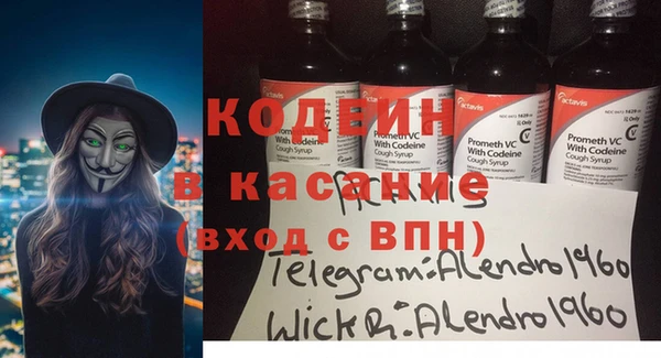 индика Богданович