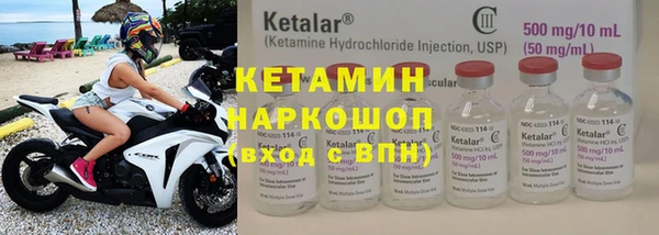 индика Богданович