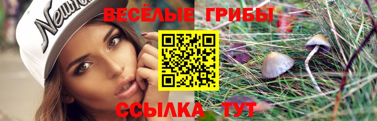 Рыбинск  Галлюциногенные грибы Cubensis  Вход с VPN  Галлюциногенные грибы Psilocybine cubensis 