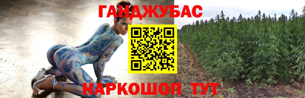 Бошки Шишки гибрид  Канабис планчик  Рыбинск  Вход с VPN  Конопля семена 